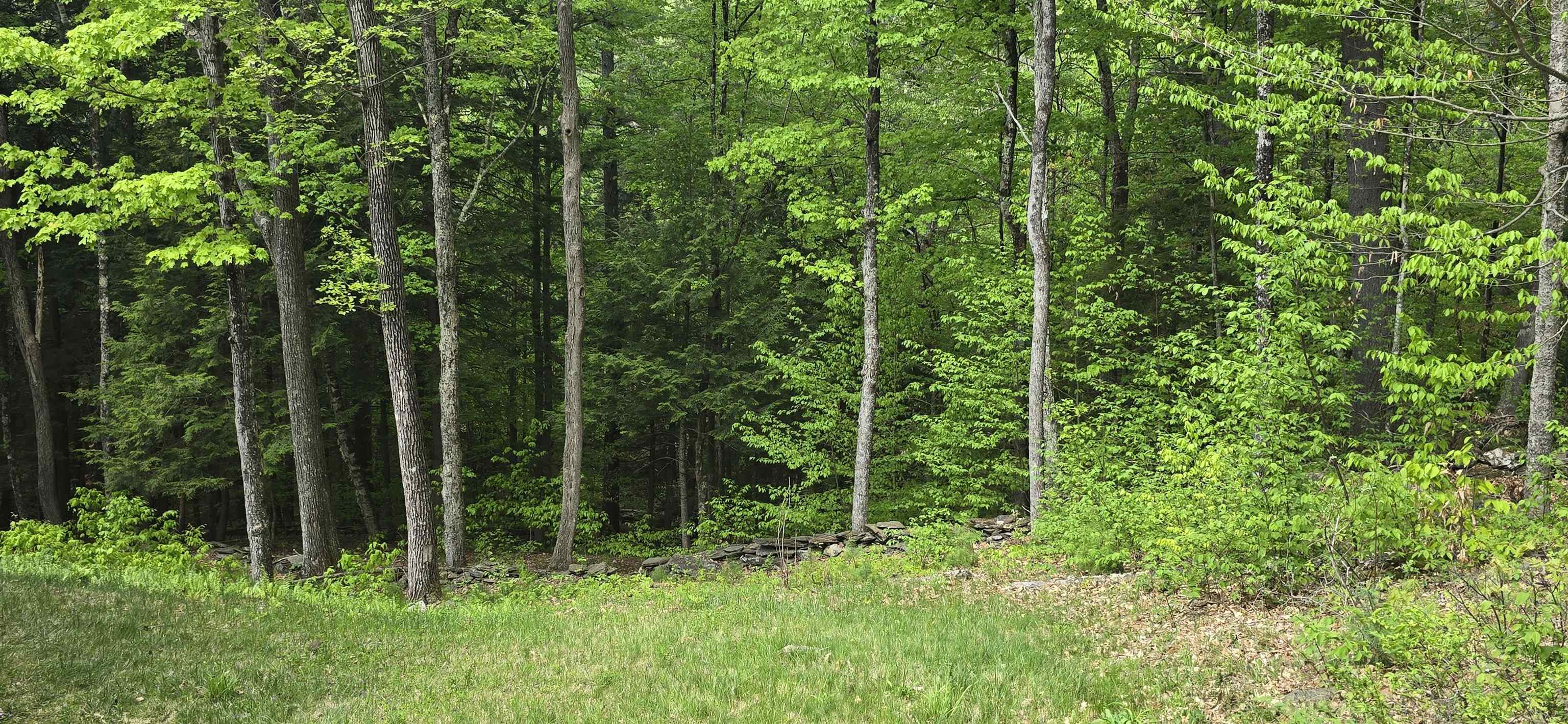 96 Hawkwood Lane Quechee, VT 05059 - Photo 34 of 35