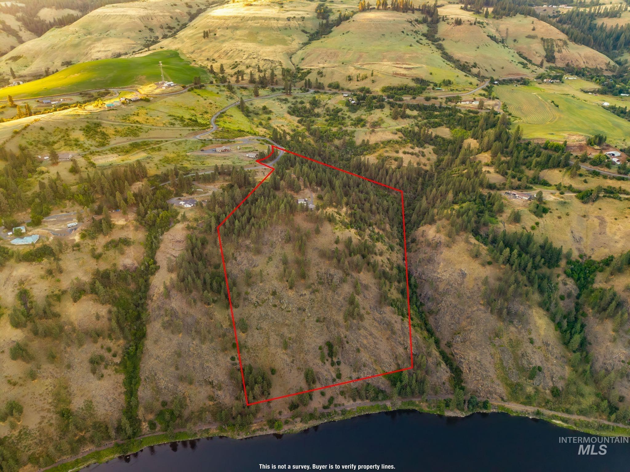 435 River Pointe Lane Lenore, ID 83541 - Photo 47 of 50 Expansive lot featuring a mix of mature evergreen trees and open terrain
