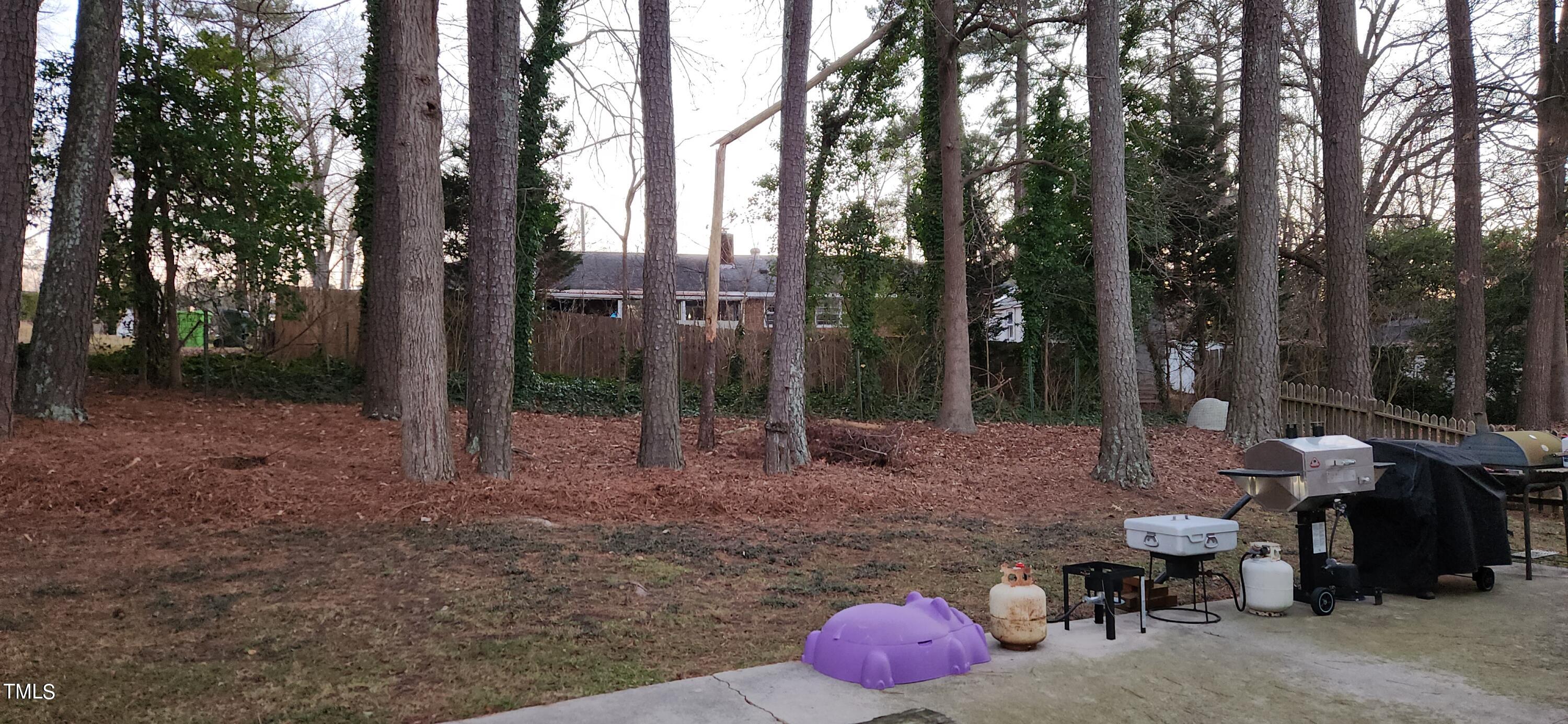 3316 Baugh Street Raleigh, NC 27604 - Photo 21 of 31 20240104_171724
