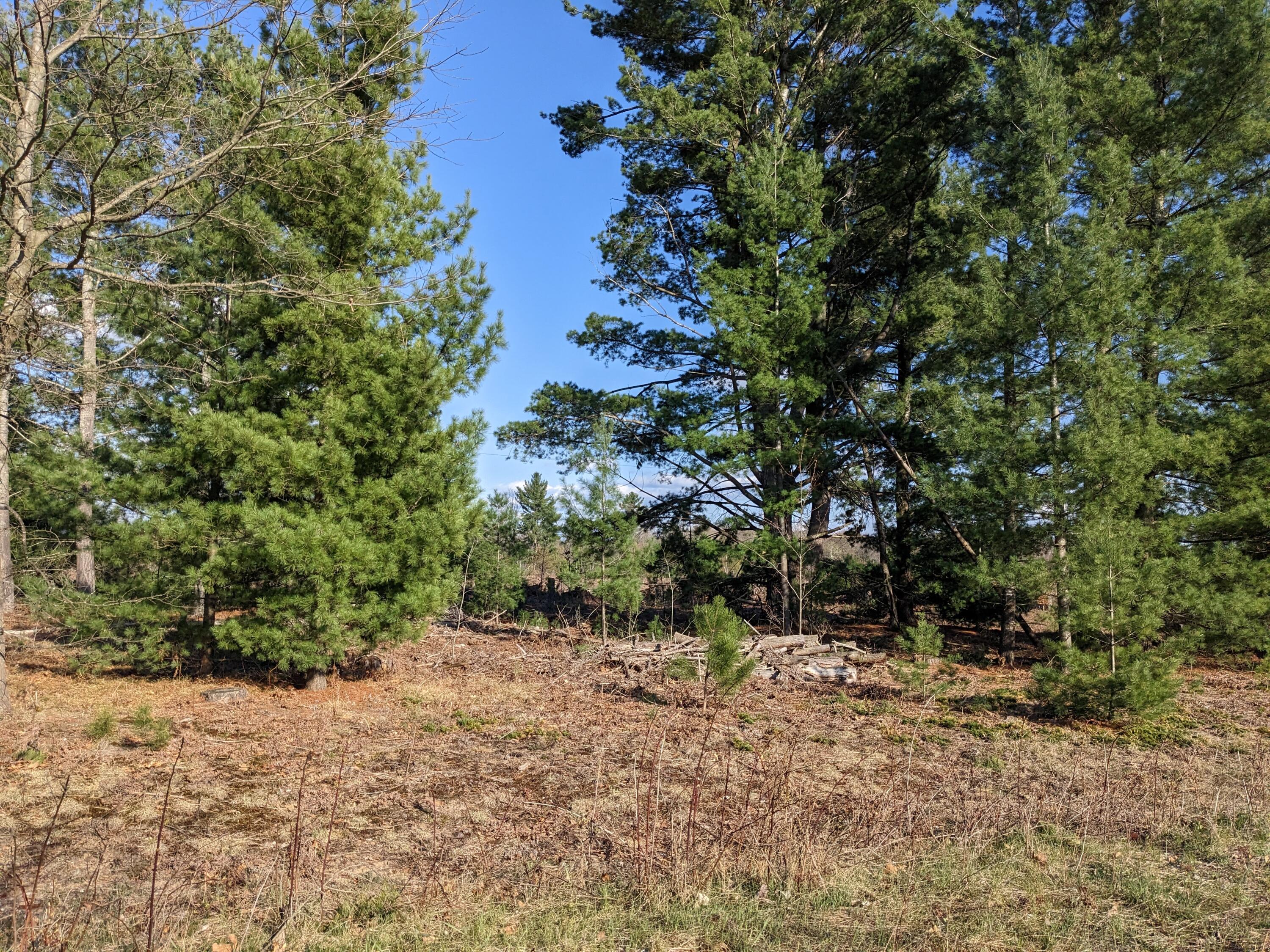 Bergstrom Drive Kaleva, MI 49645 - Photo 13 of 20 PXL_20230424_221732130