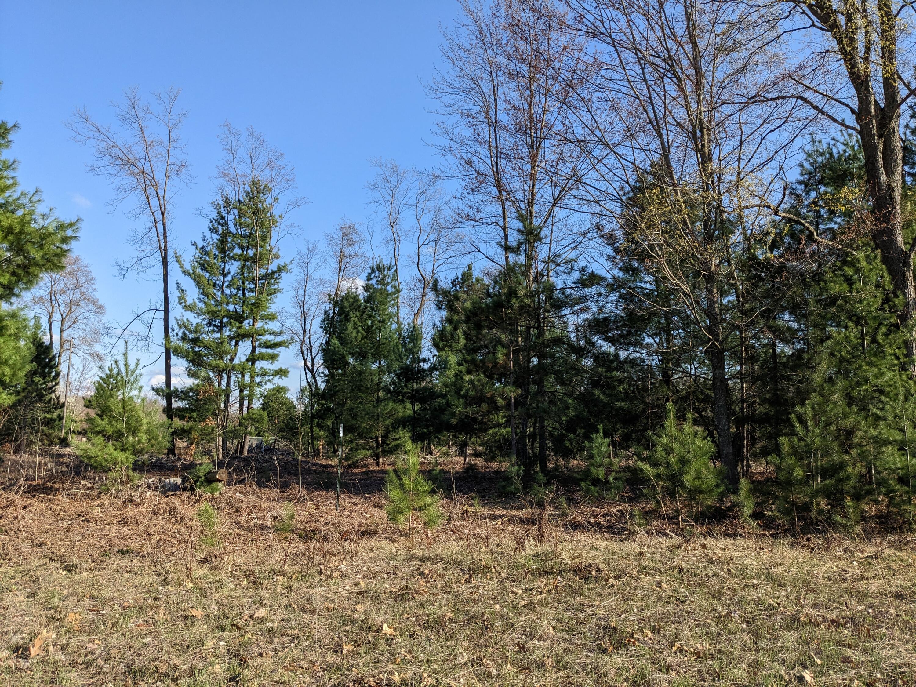 Bergstrom Drive Kaleva, MI 49645 - Photo 15 of 20 PXL_20230424_221743625