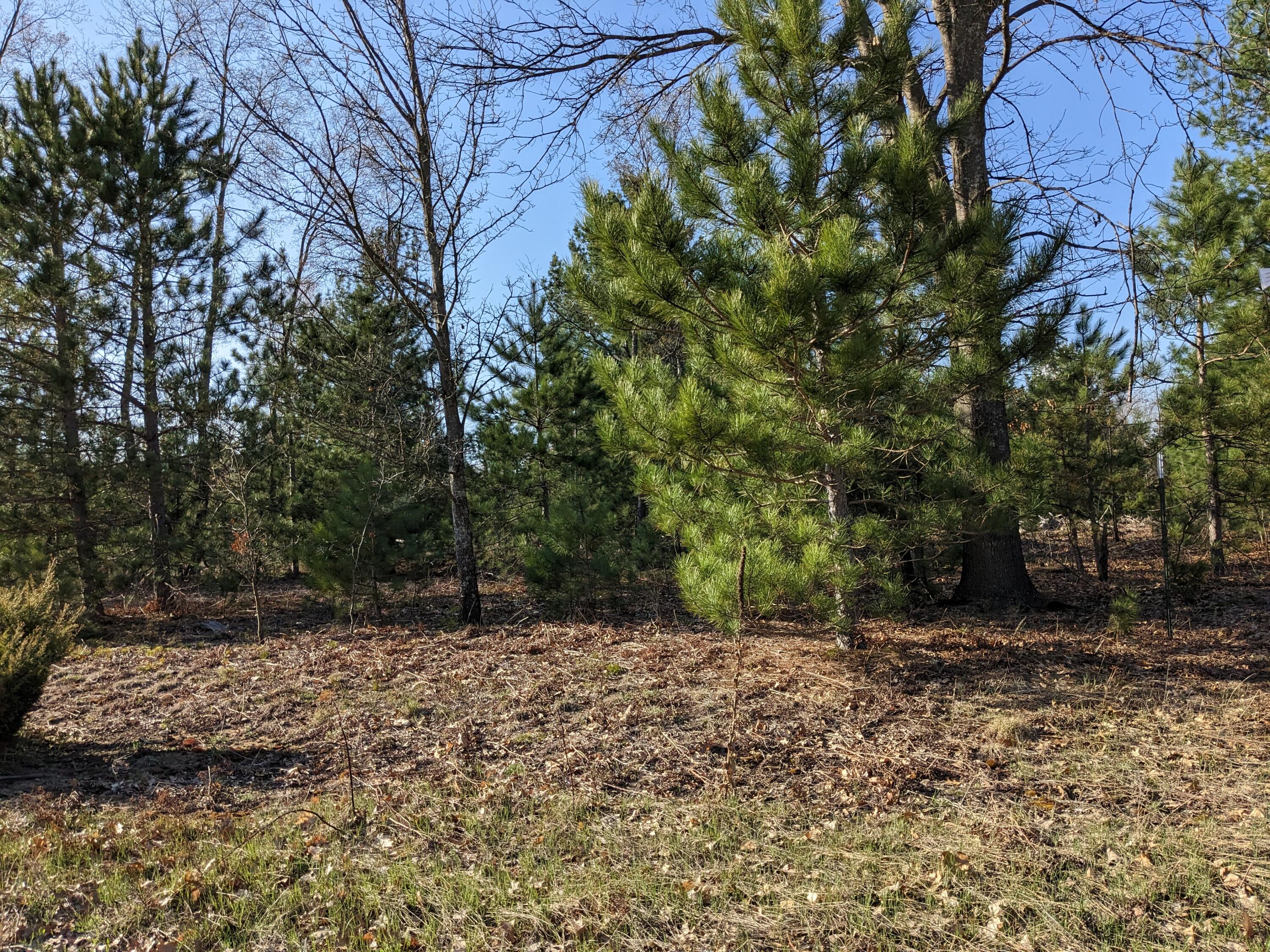 Bergstrom Drive Kaleva, MI 49645 - Photo 16 of 20 PXL_20230424_221751569