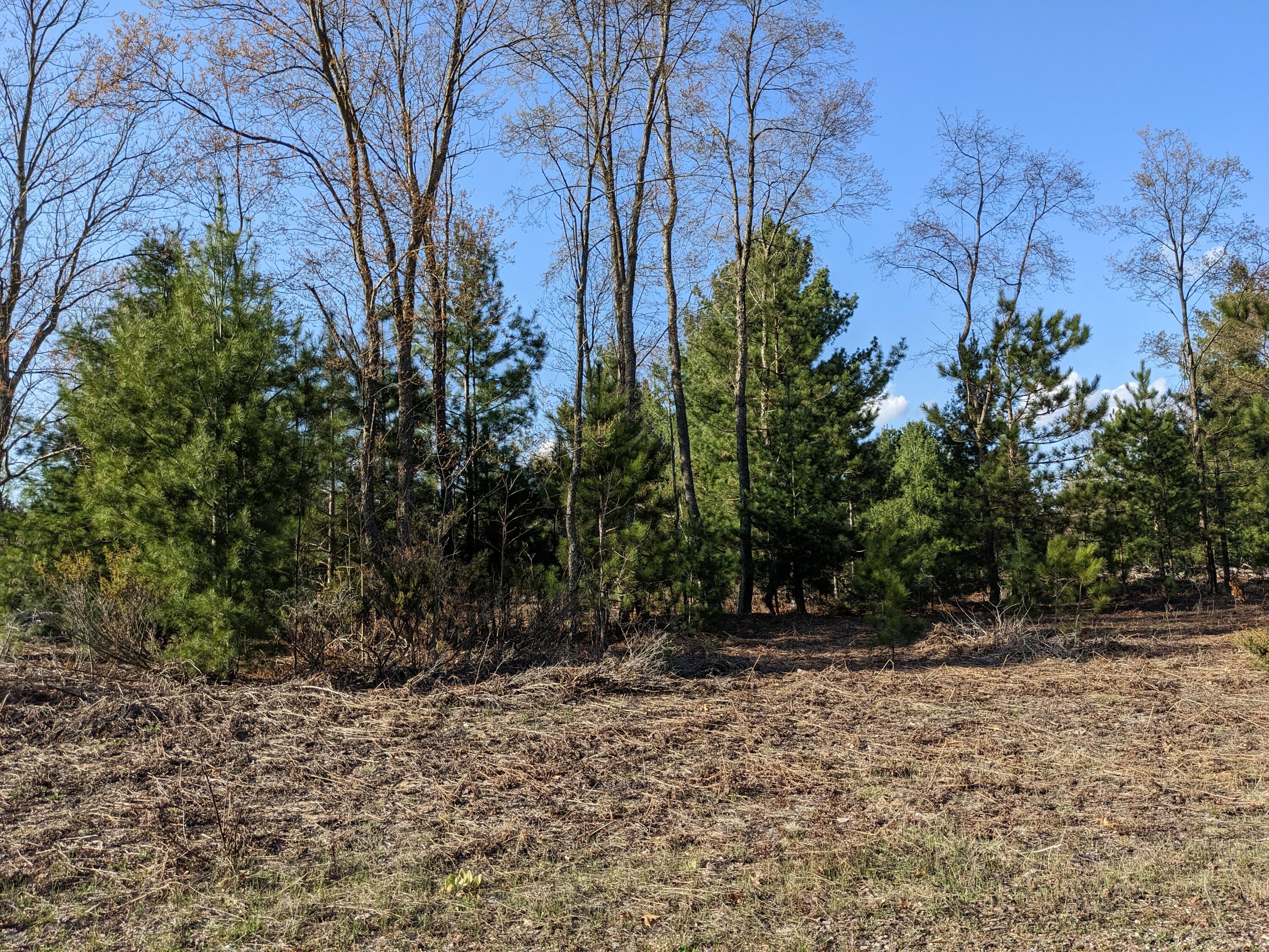 Bergstrom Drive Kaleva, MI 49645 - Photo 18 of 20 PXL_20230424_221802118