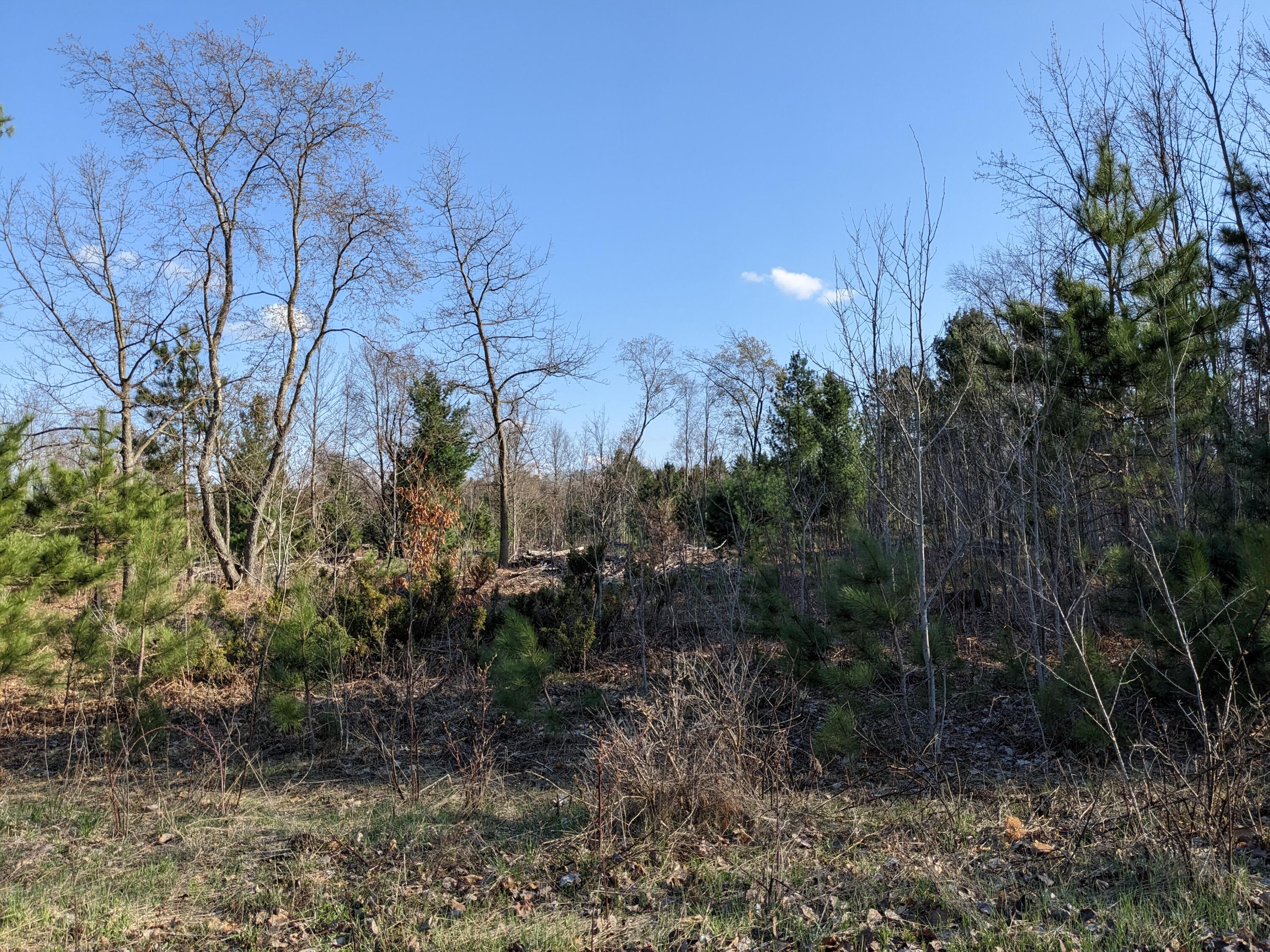 Bergstrom Drive Kaleva, MI 49645 - Photo 2 of 20 PXL_20230424_221617833