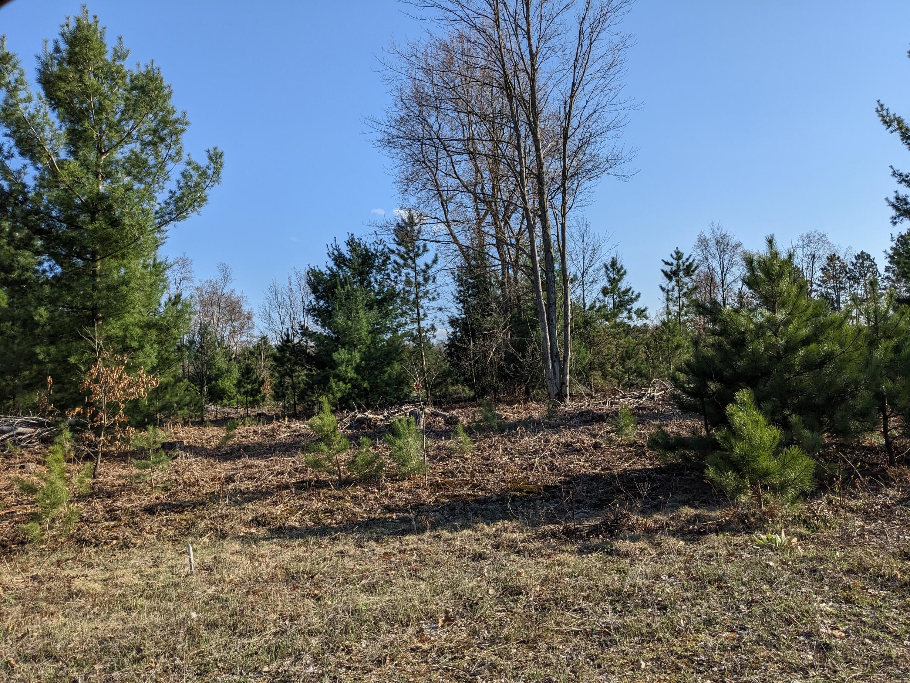 Bergstrom Drive Kaleva, MI 49645 - Photo 5 of 20 PXL_20230424_221648732