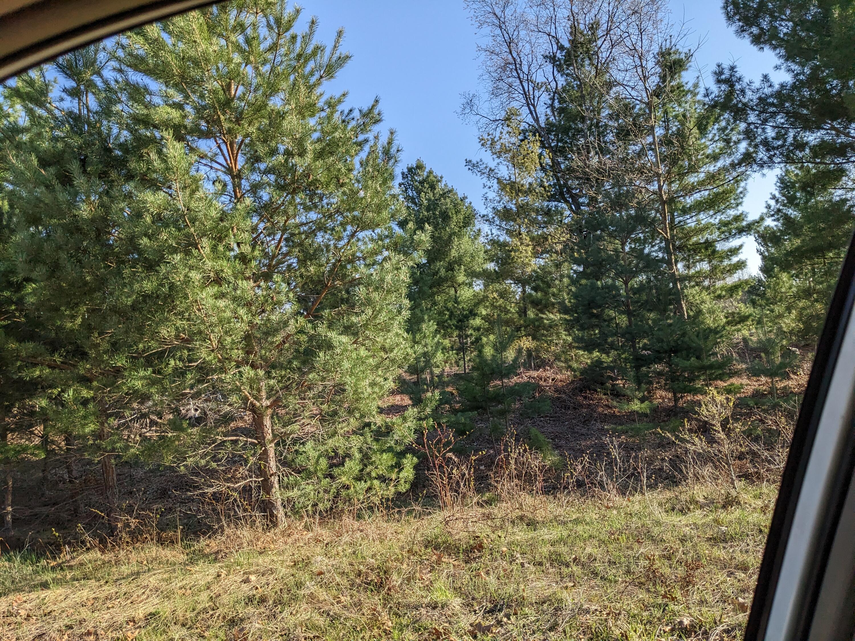 Bergstrom Drive Kaleva, MI 49645 - Photo 7 of 20 PXL_20230424_221700664