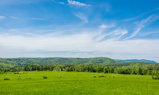 a view of a grassy field with mountains in the background