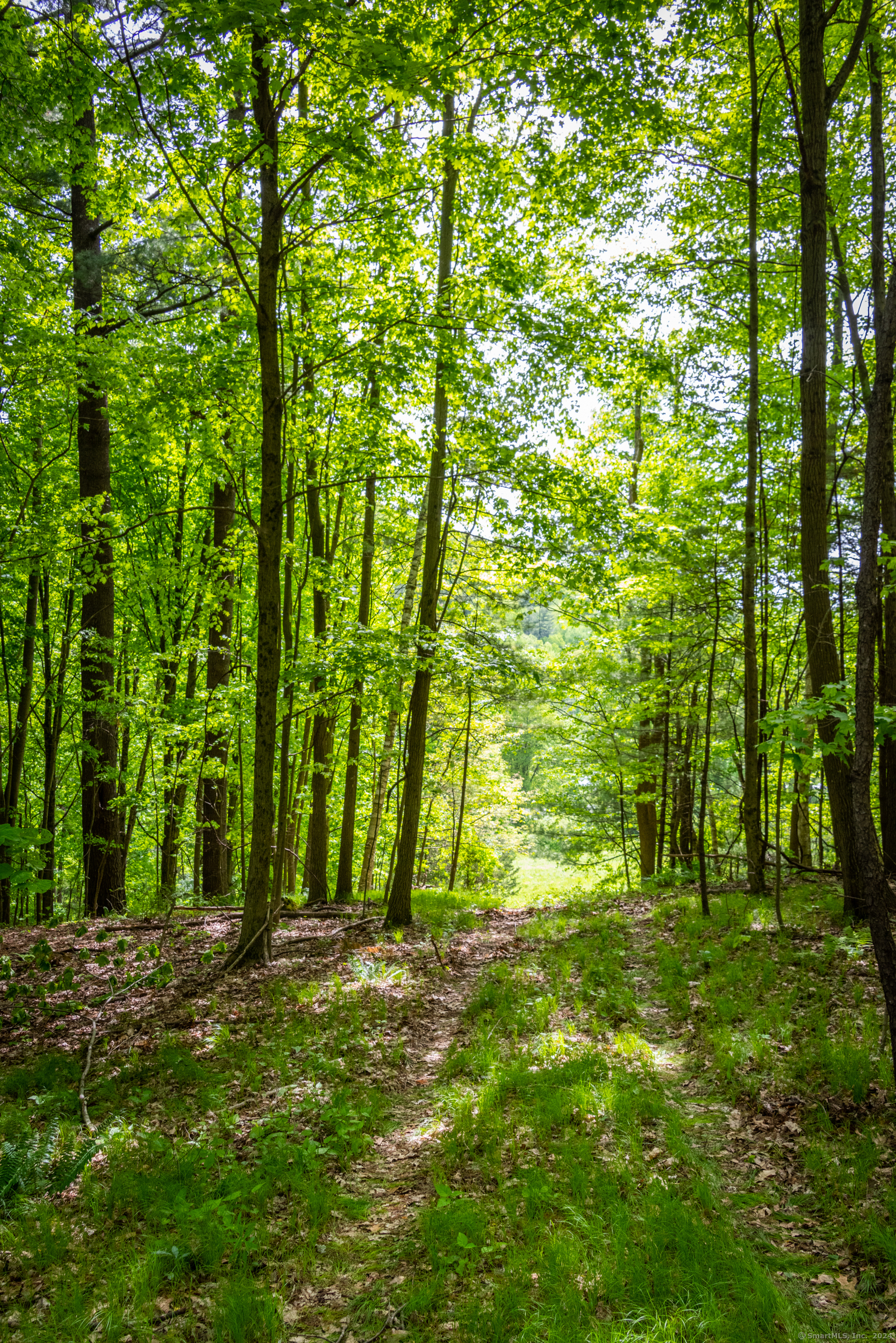 198-1 Beebe Hill Road Falls Village, CT 06031 - Photo 3 of 10 a view of outdoor space with a garden