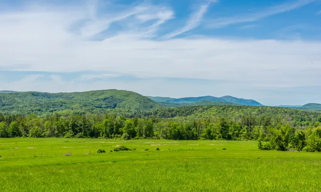a view of a green field with mountains in the background