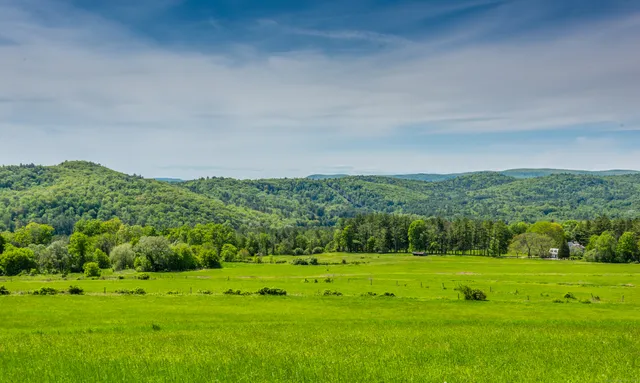 a view of a green field with clear sky