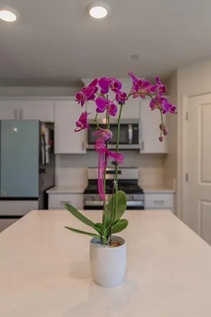 $450,000 | 433 Stein Way, Waterford, CA 95386