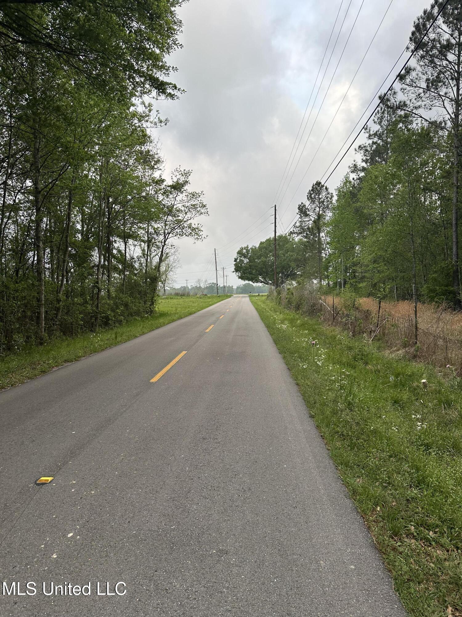 Whitfield Road Picayune, MS 39466 - Photo 3 of 4 IMG_1606