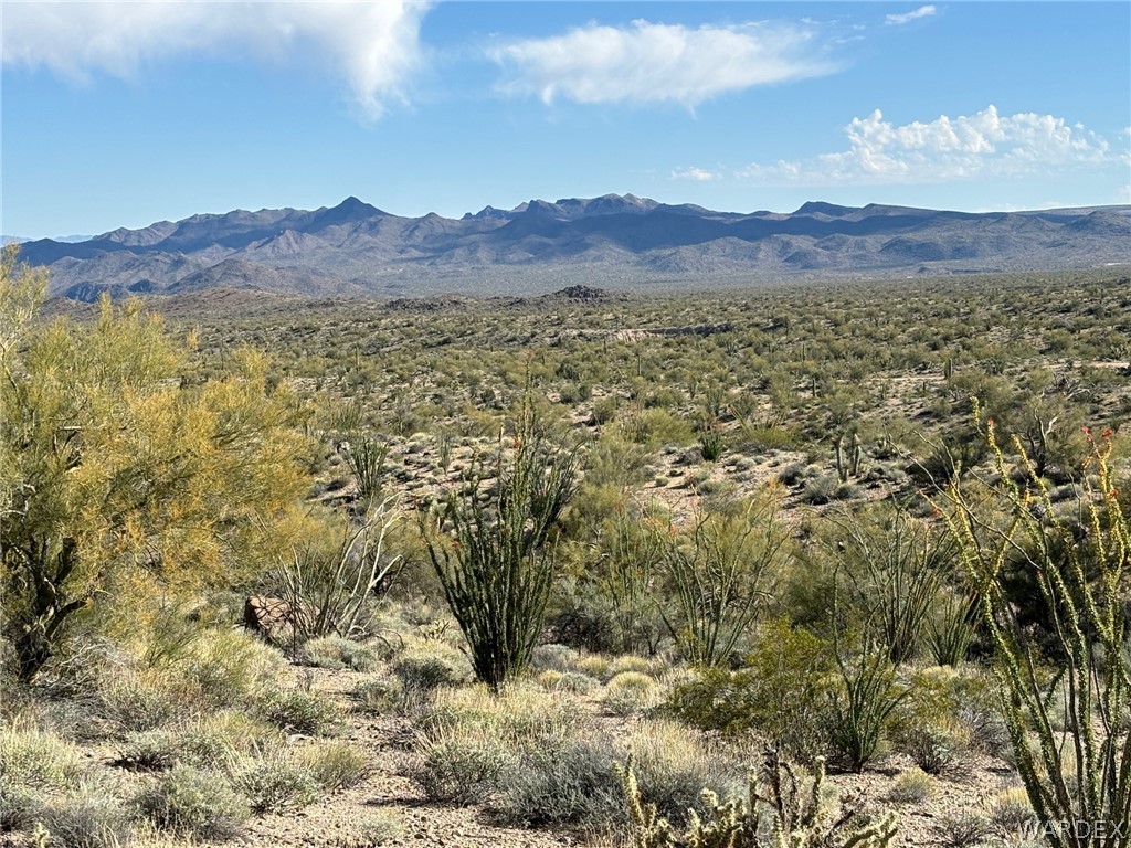 13095 Highland Road Wikieup, AZ 85360 - Photo 23 of 67 View