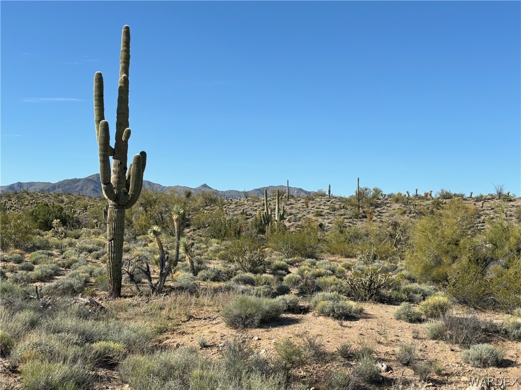 13095 Highland Road Wikieup, AZ 85360 - Photo 30 of 67 View