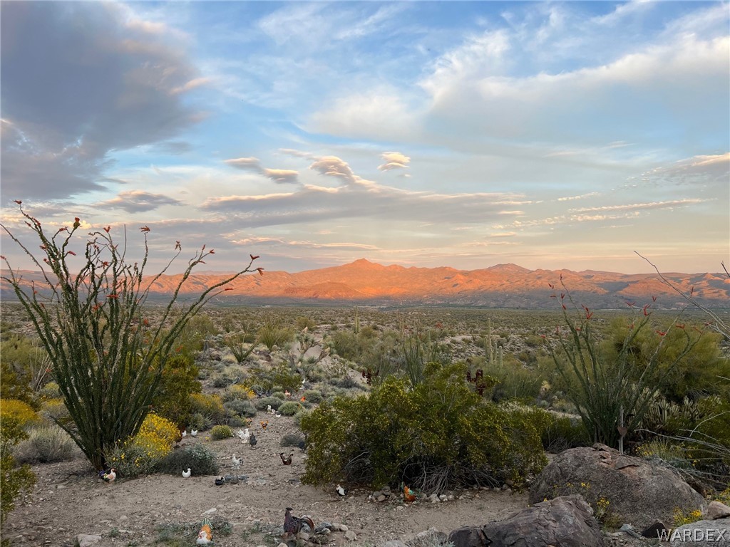 13095 Highland Road Wikieup, AZ 85360 - Photo 31 of 67 View