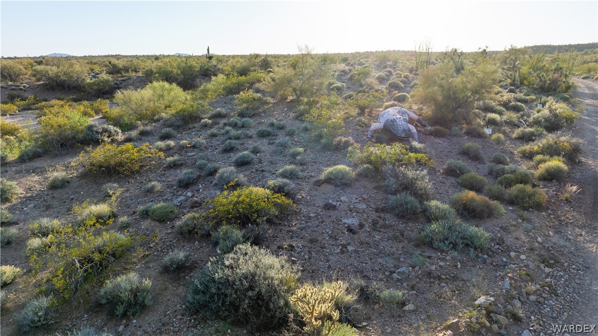 13095 Highland Road Wikieup, AZ 85360 - Photo 45 of 67 Other