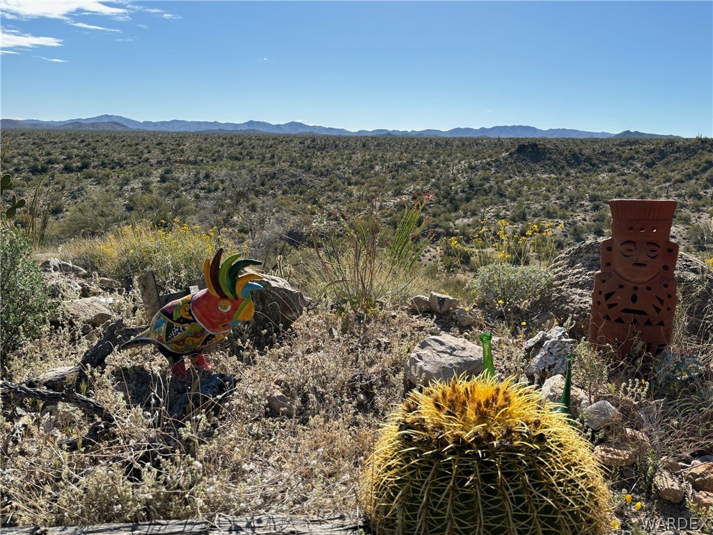13095 Highland Road Wikieup, AZ 85360 - Photo 9 of 67 View