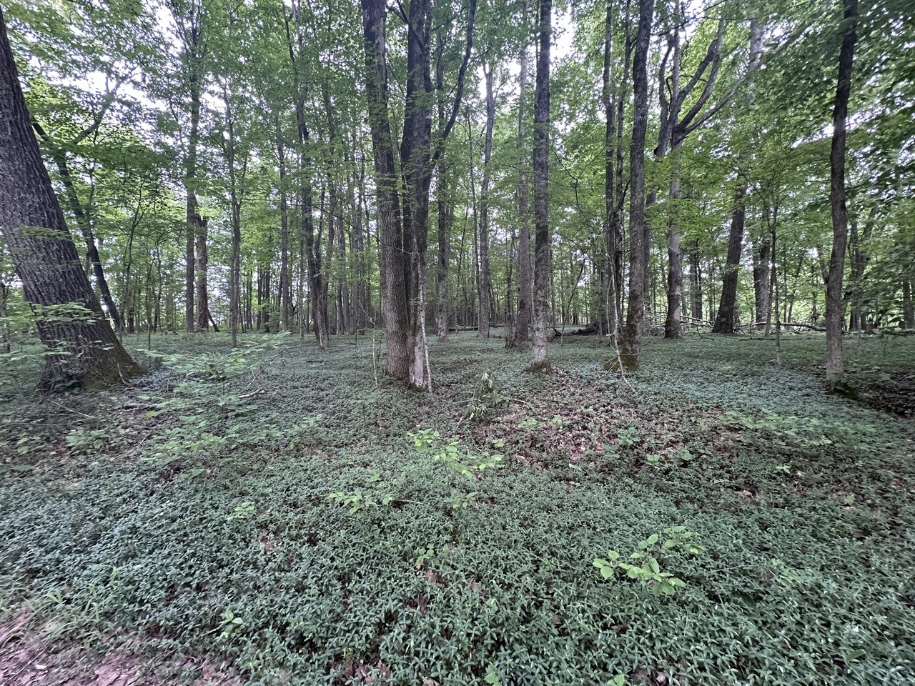 2 Kelly Willis Road Greenbrier, TN 37073 - Photo 1 of 6 Gallery Image 1