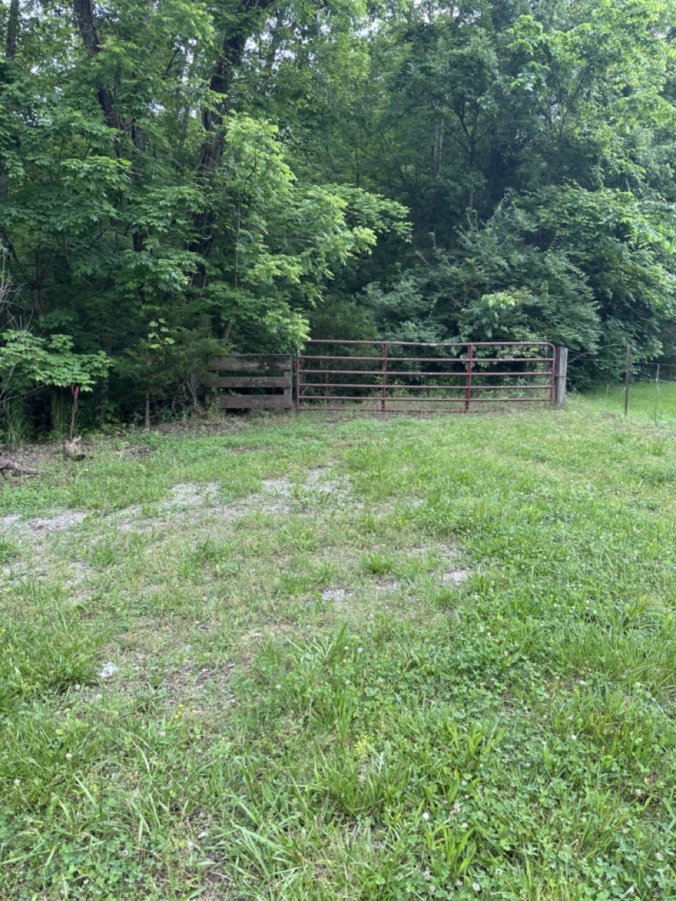 2 Kelly Willis Road Greenbrier, TN 37073 - Photo 3 of 6 Gallery Image 3