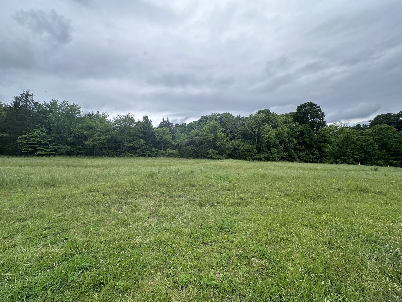 2 Kelly Willis Road Greenbrier, TN 37073 - Photo 4 of 6 Gallery Image 4