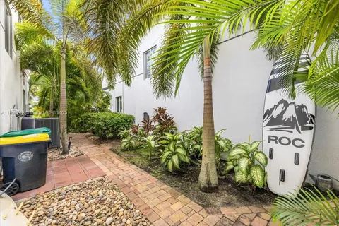 a view of a bunch of flowers with flower plants