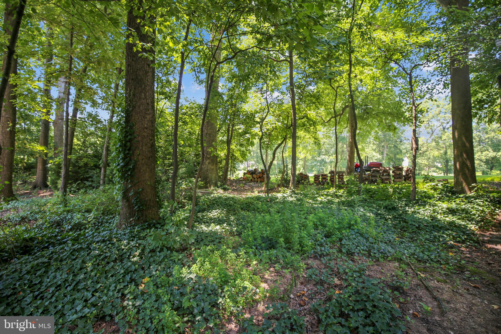 1957 Weybridge Lane Reston, VA 20191 - Photo 43 of 93