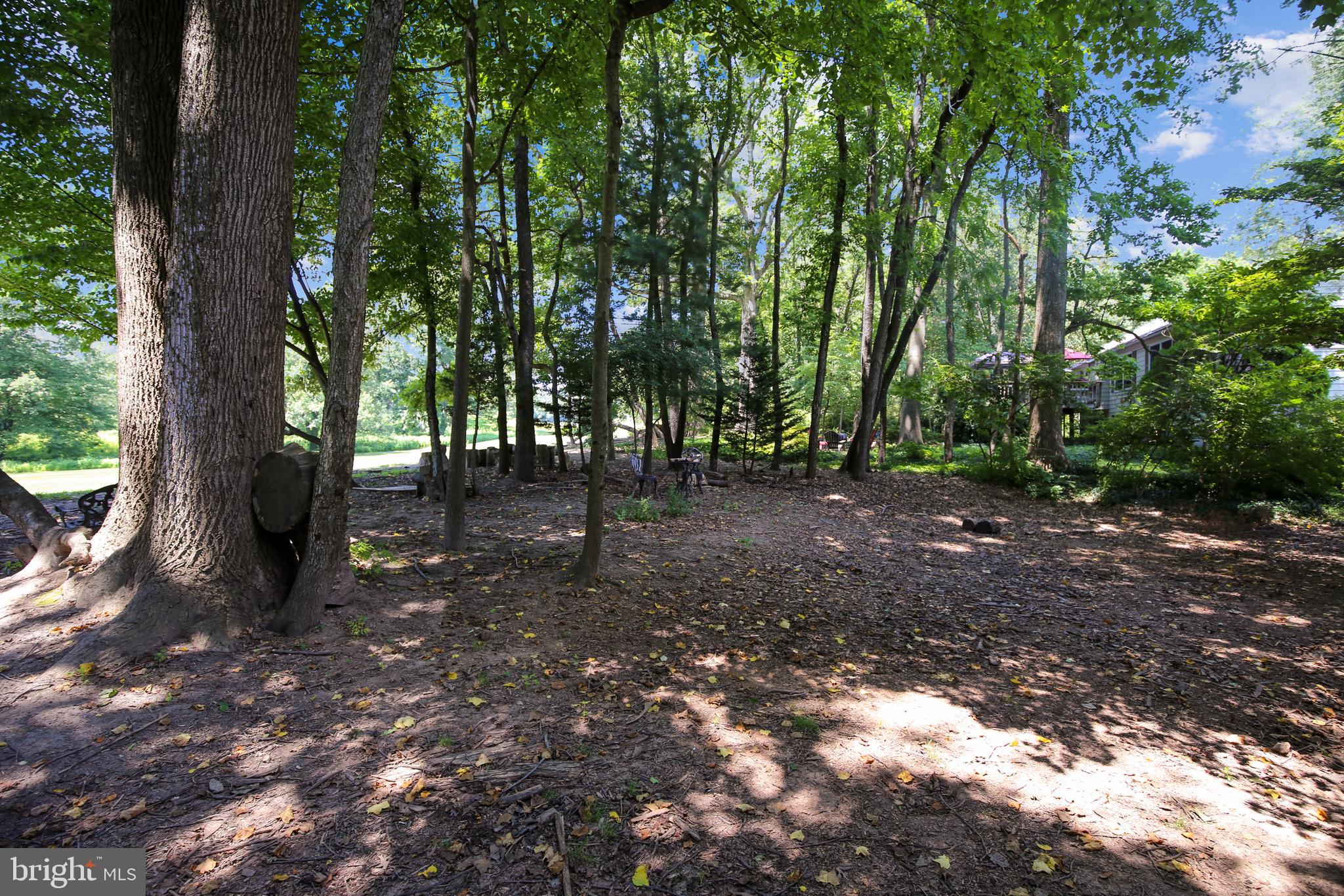 1957 Weybridge Lane Reston, VA 20191 - Photo 44 of 93