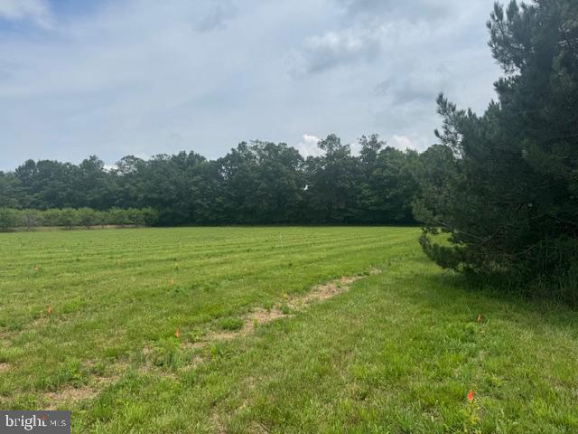 Lot #11 Cold Springs Road Orrtanna, PA 17353 - Photo 4 of 4 a view of a garden with a building in the background
