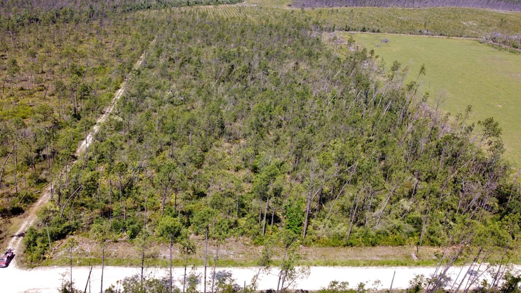 4 Buddy Floore Road Wewahitchka, FL 32465 - Photo 5 of 7