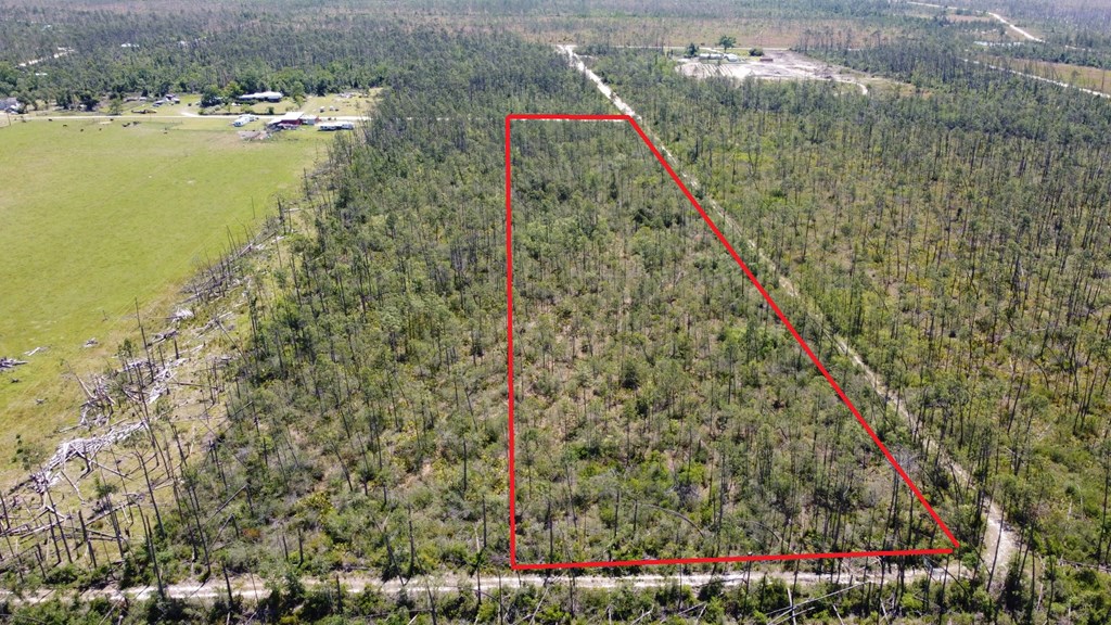 4 Buddy Floore Road Wewahitchka, FL 32465 - Photo 6 of 7