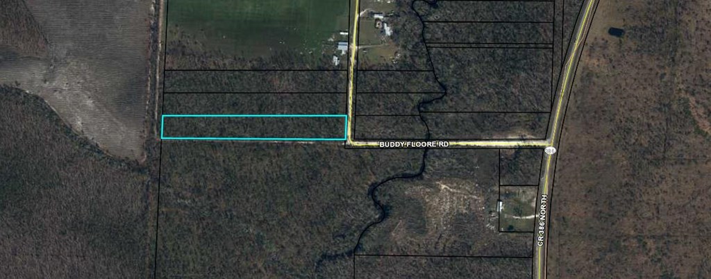 4 Buddy Floore Road Wewahitchka, FL 32465 - Photo 7 of 7