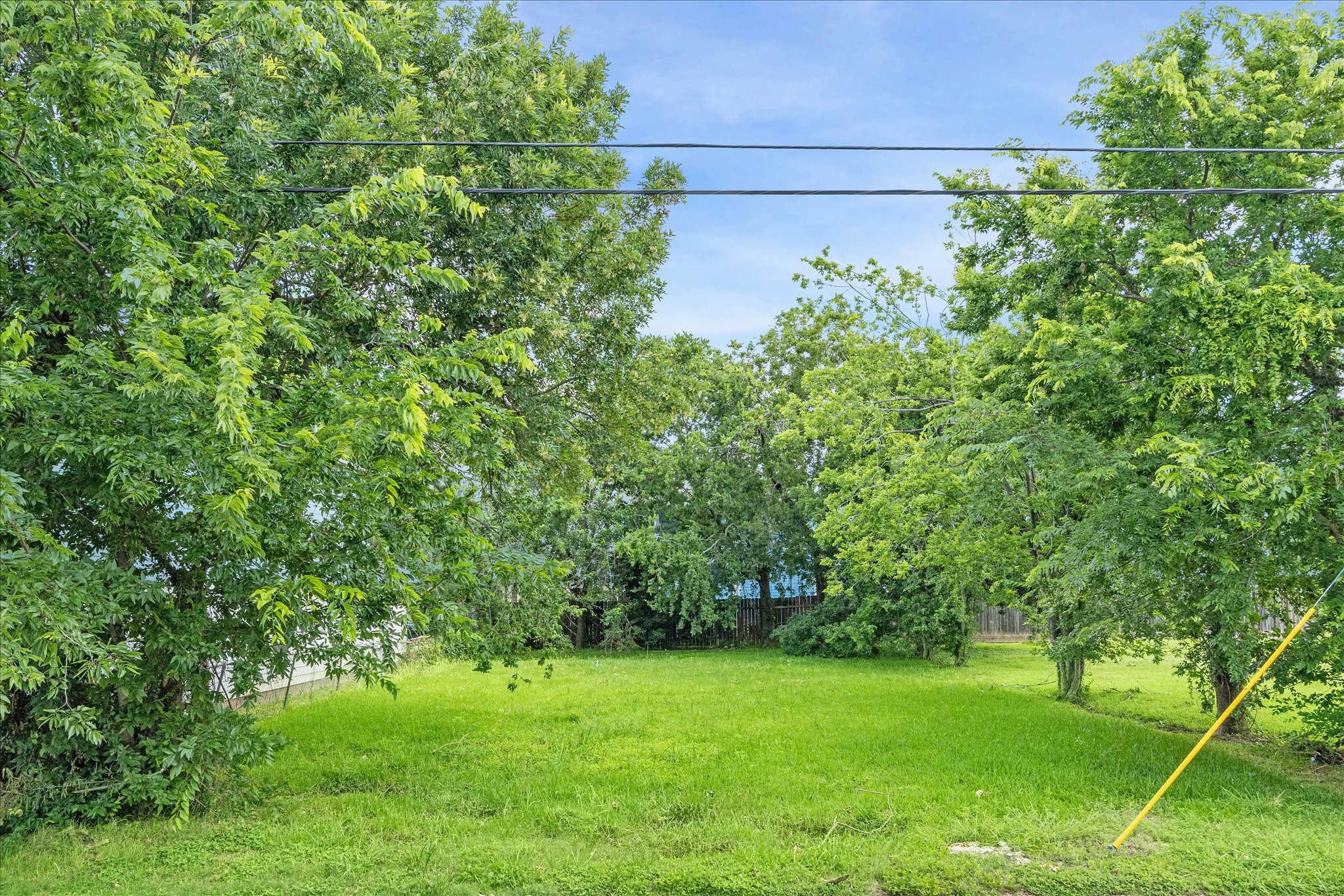 1106 Ruthven Street Houston, TX 77019 - Photo 4 of 6 a view of a garden