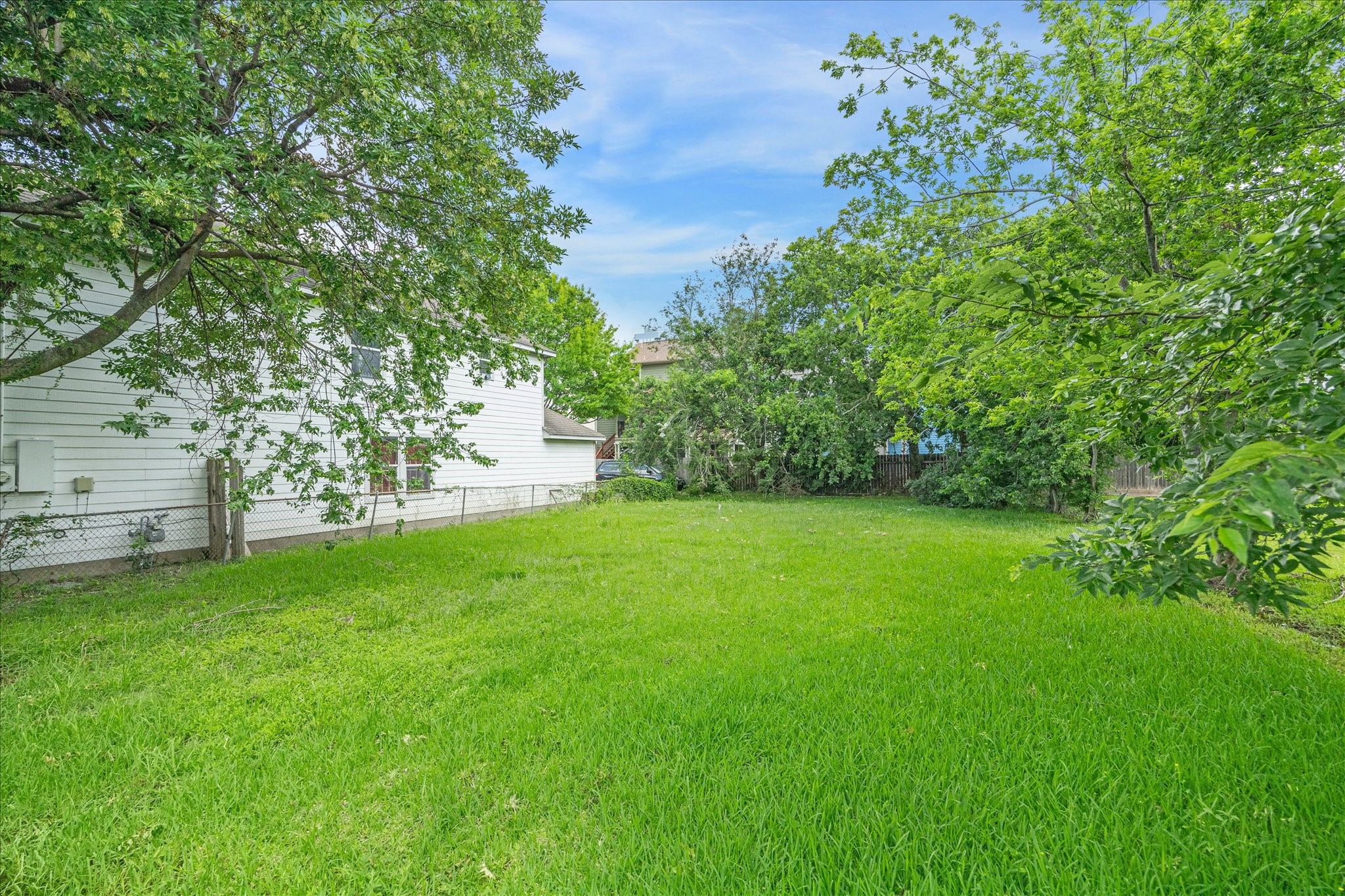 1106 Ruthven Street Houston, TX 77019 - Photo 5 of 6 a view of a yard with a tree