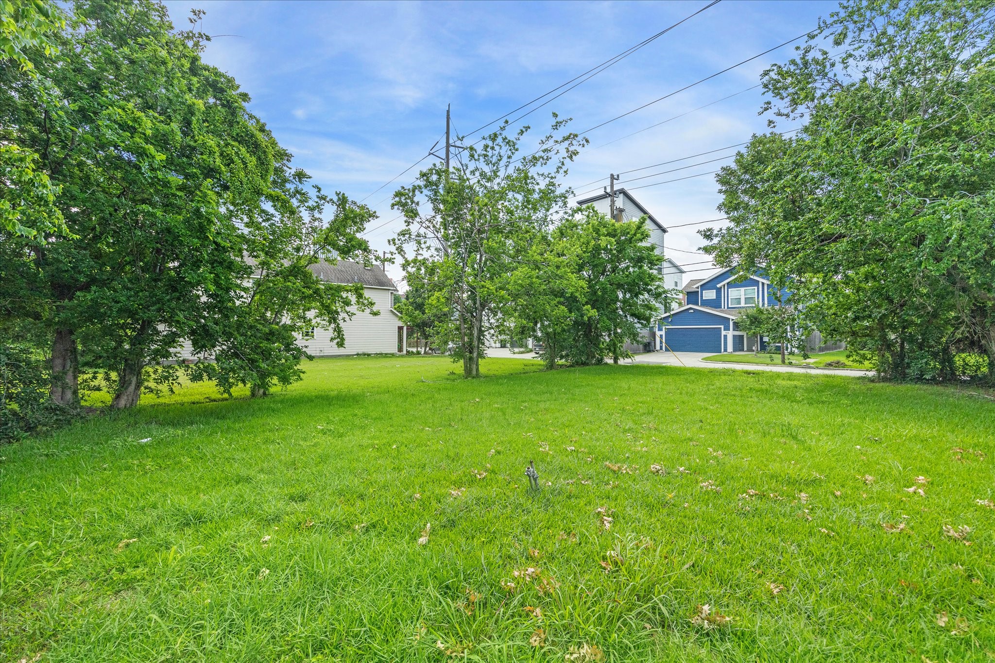1106 Ruthven Street Houston, TX 77019 - Photo 6 of 6 a view of a garden with a tree