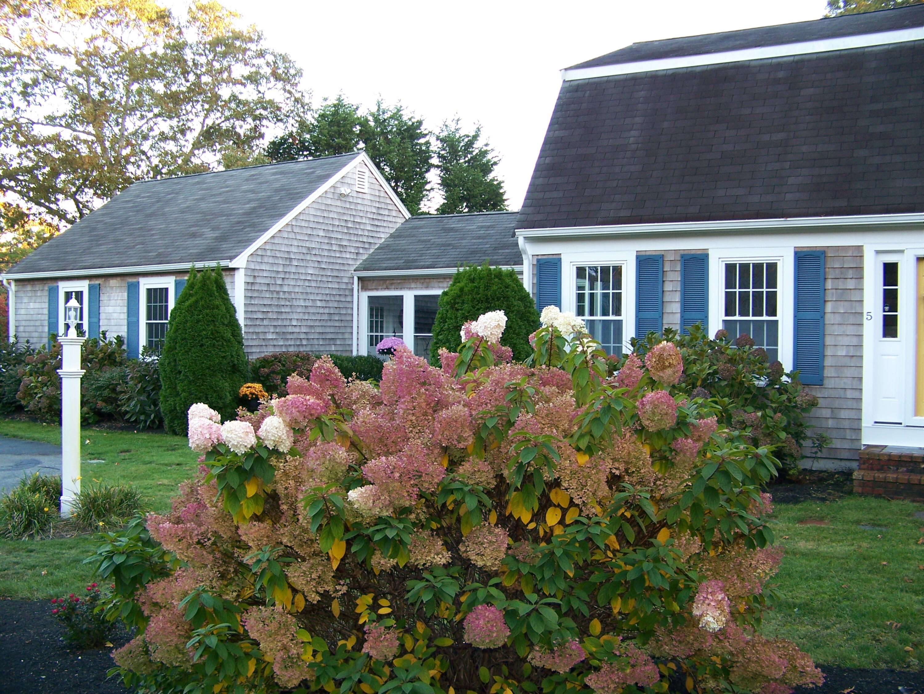 5 Vesper Drive Pocasset, MA 02559 - Photo 1 of 20 a front view of house with yard and outdoor seating