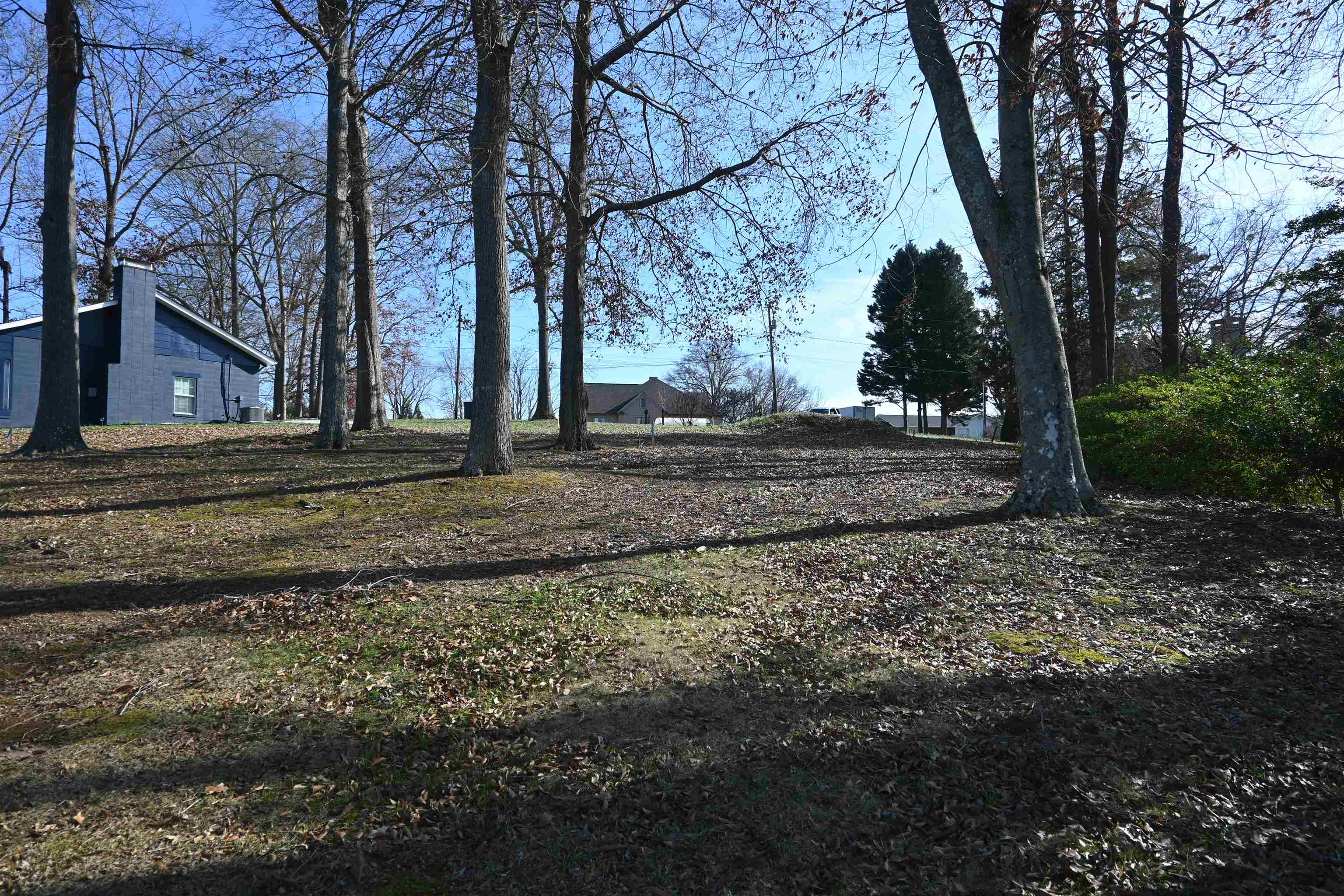 0 Suttles Road Inman, SC 29349 - Photo 9 of 12