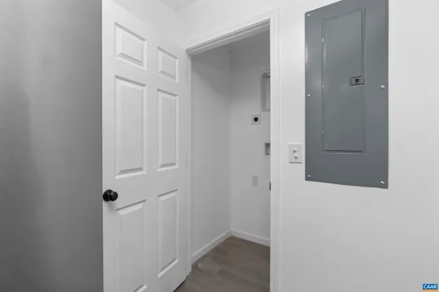 a close up of a plant in a kitchen