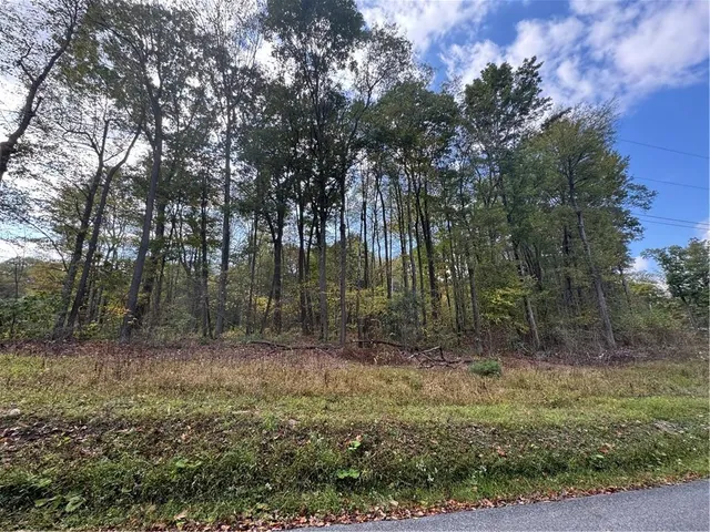 a view of outdoor space with trees