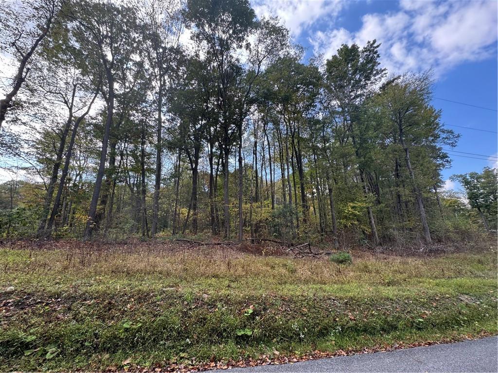 0 Old Hickory Flats Road Somerset, PA 15501 - Photo 3 of 5 a view of outdoor space with trees