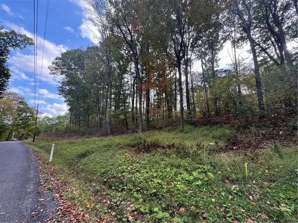 a view of outdoor space and green space