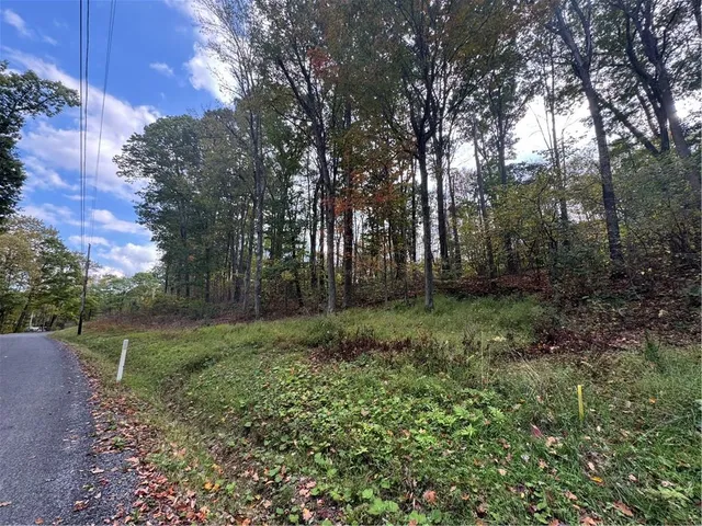 a view of outdoor space and green space