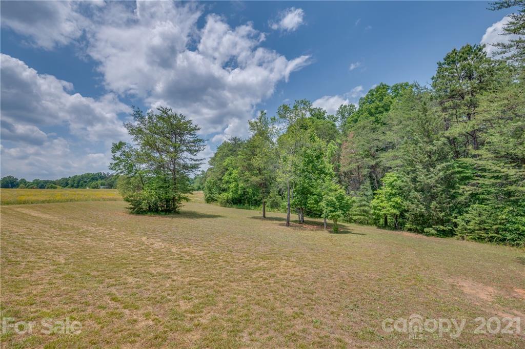 391 Wells Mill Road Bostic, NC 28018 - Photo 3 of 45 Gallery Image 3