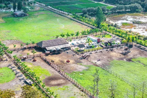 a swimming pool with lawn chairs and large trees