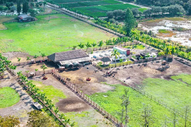 a swimming pool with lawn chairs and large trees