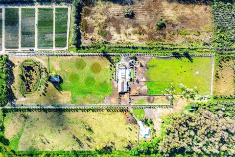 a view of swimming pool with a garden