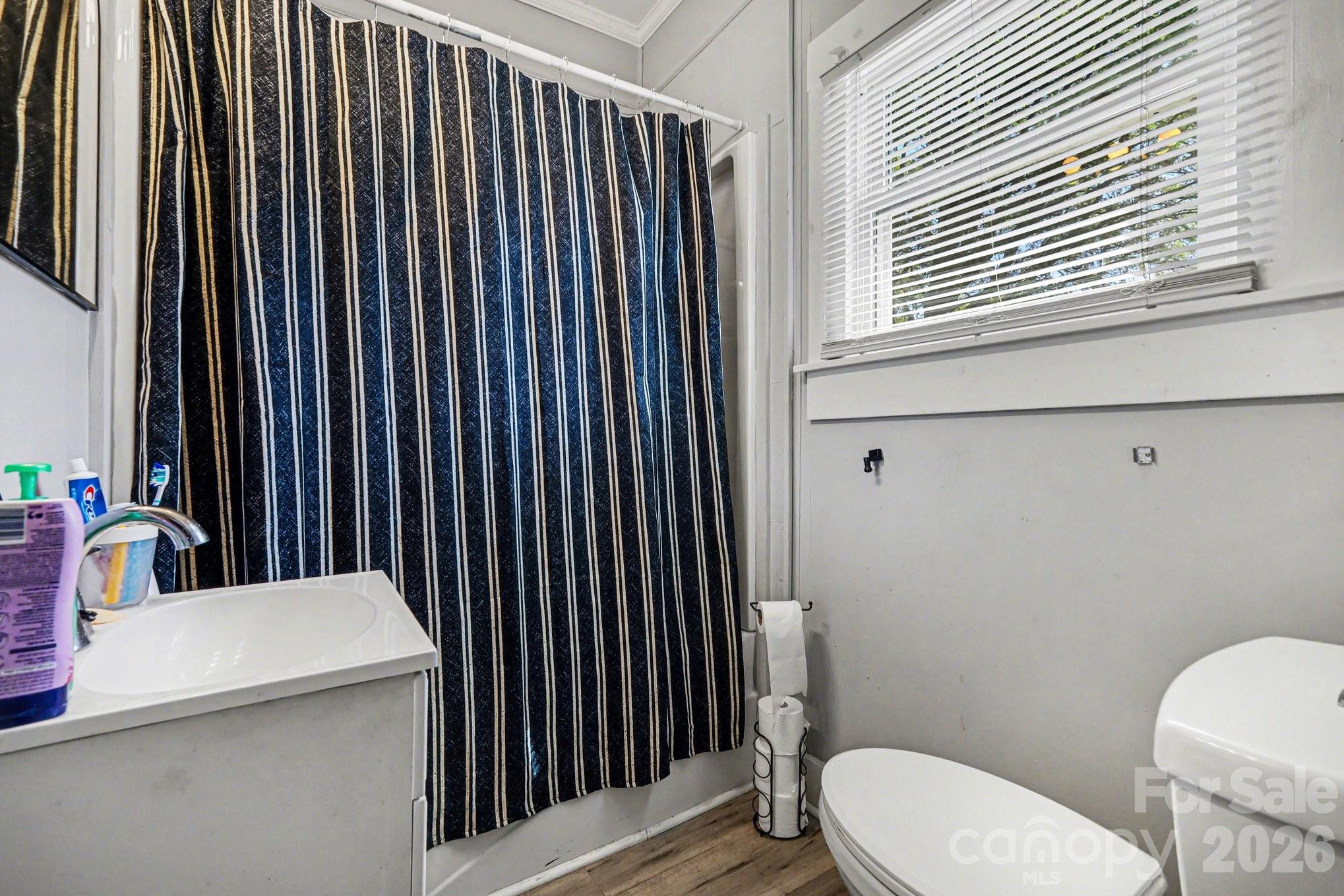 522 Elm Street Salisbury, NC 28144 - Photo 17 of 20 a bathroom with a toilet a sink and mirror