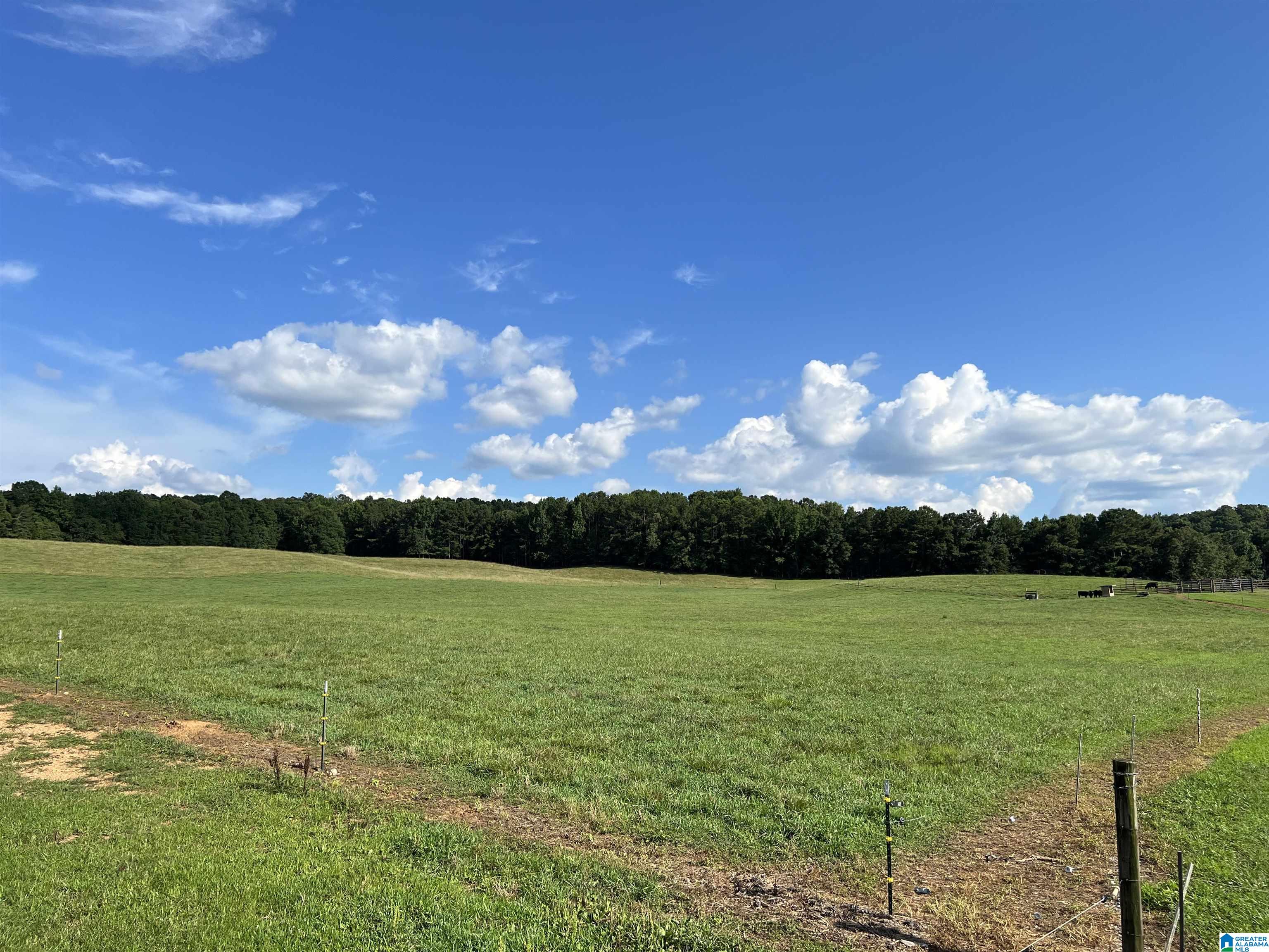 1515 Kelly Ranch Road, Unit 138 ACRES / Talladega, AL 35160 - Photo 38 of 42