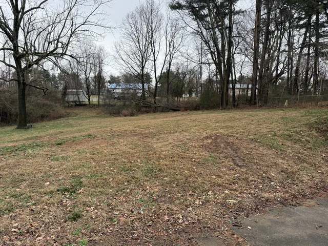 a view of outdoor space with deck and tree