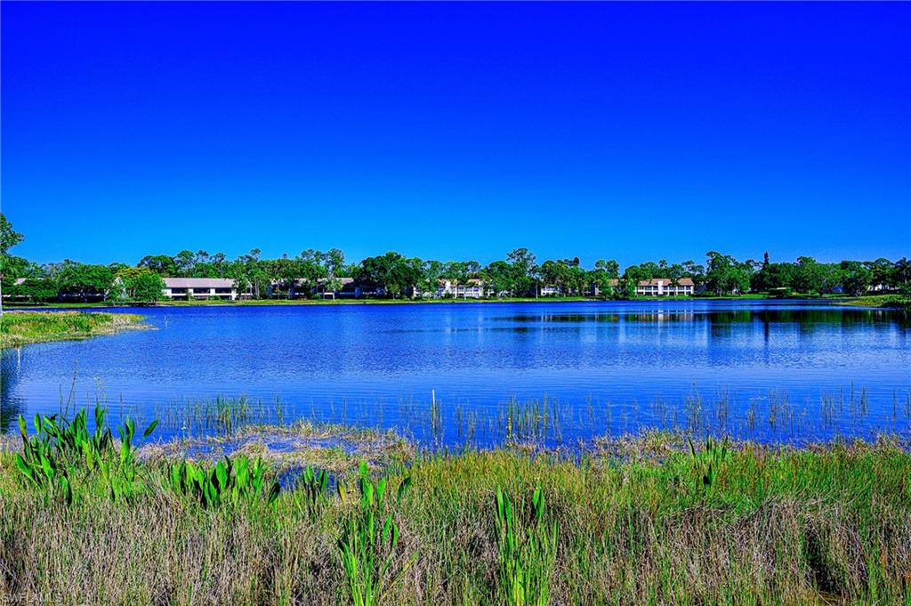 2650 Kings Lake Boulevard, Unit 6202 Naples, FL 34112 - Photo 23 of 26 Long Lake View Behind the Home