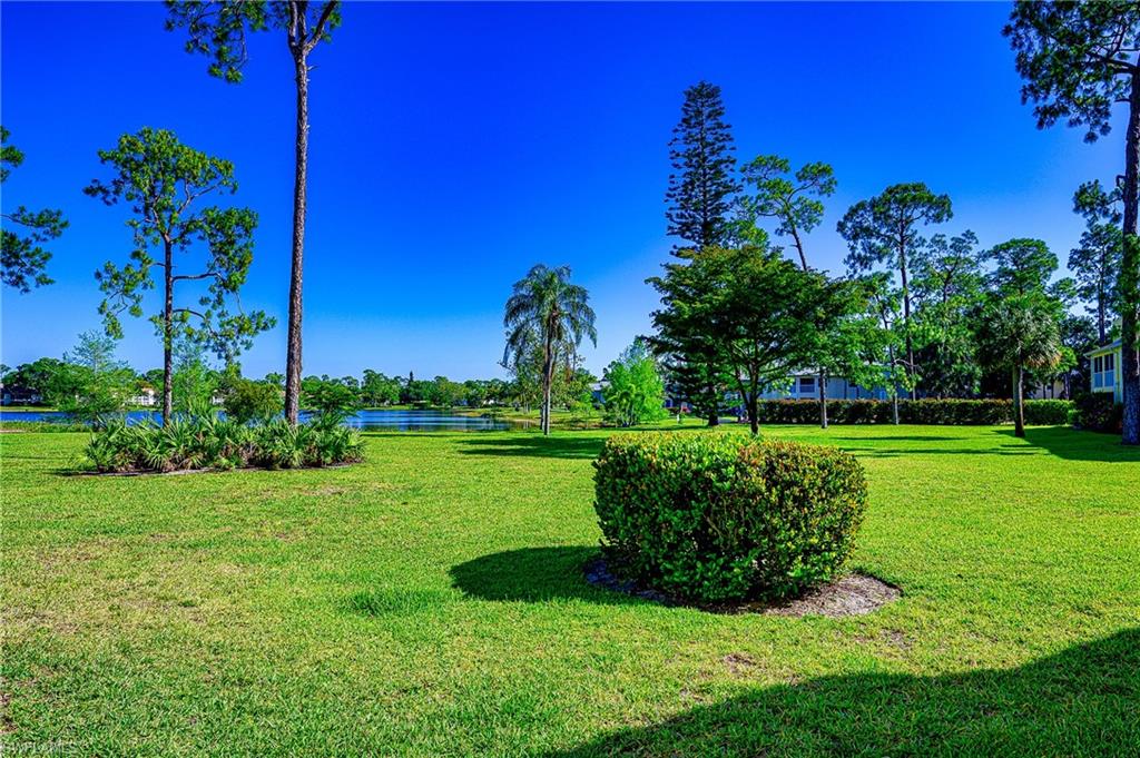 2650 Kings Lake Boulevard, Unit 6202 Naples, FL 34112 - Photo 24 of 26 Yard Behind the Home